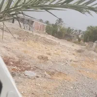 ده قصب زمین فروشی شفته شده در ملک اباد