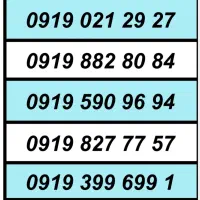 0919.6.995.995