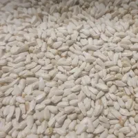 کاه گلرنگ/دانه گلرنک