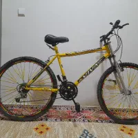 ویوا ۲۶