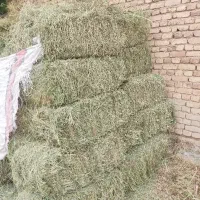 پرس یونجه آستانه