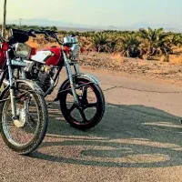 موتور