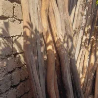 چوب گرد مناسب برای ساختمان و سایبان