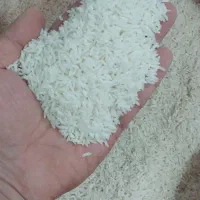 حراج برنج هاشمی عطری درجه ۱ اعلا