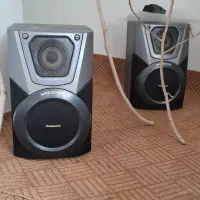 ضبط باند سالم