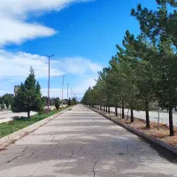 همراهی دوچرخه سواری