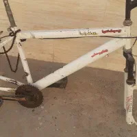 تنه
