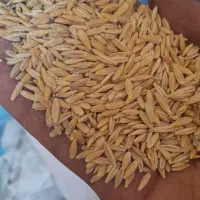 جو تمیز کیلو ۵۳