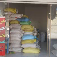 نخود بومی