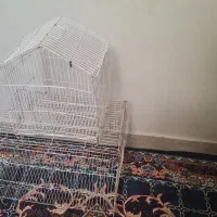 قفس پرنده