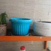 3 گلدان