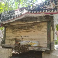 کندو زنبور عسل