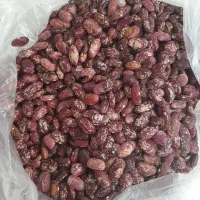 لوبیا عروس خارجی