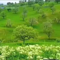 فروش زمین کشاورزی