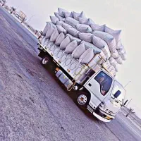 خرید و فروش کاه گندم و گاه جو