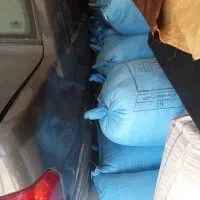 جو آبی ویلیام