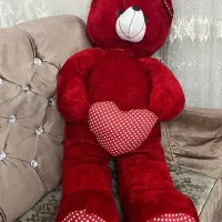 خرس شاسخین