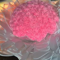 گل رز روبانی جاودان/ پروانه ای ریسه ای/گل عروس