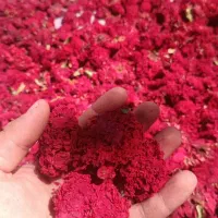 فروش گیاهان دارویی