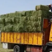 فروش یونجه بسته درجه یک