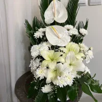 سبد گل زیبا