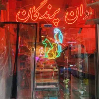 غذای سگ گربه پت پرنده