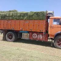 پرس یونجه