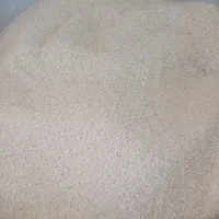 برنج علی کاظمی پارسال