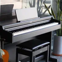 پیانو دیجیتال YAMAHA مدل YDP 165