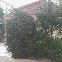 باغ-ویلا