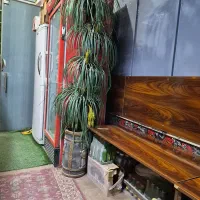نخل خرما مصنوعی باگلدان
