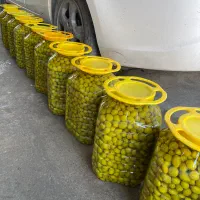زیتون و روغن زیتون