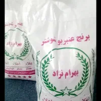 عنبربو شوشتر . خوشبختانه . معطر