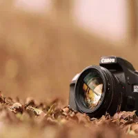 عکاسم پذیرش انواع پروژه های عکاسی شما بصورت رایگان