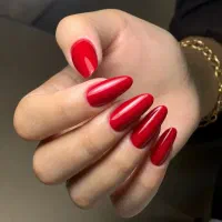 ارائه کلیه خدمات