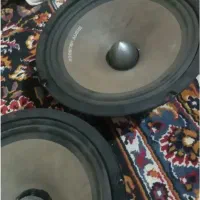 میدرنج وامپ