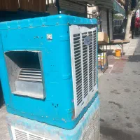 کولرابی  جنرال درحدنویک عدد خیلی نوموتورژن
