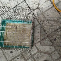 قفسه پرنده