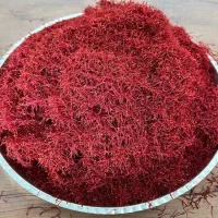 زرشک و زعفران نگین کویر
