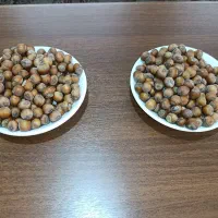 فندق اشکورات
