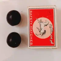 نهال انگور لامبورگینی