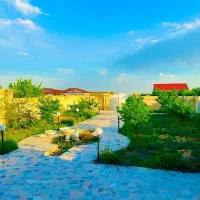 زمین-باغ-استخردار-دیاکوفرماینه-پزشکان-سرمایه-گذاری