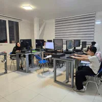 مدرس طراحی سایت، هوش مصنوعی، برنامه نویسی