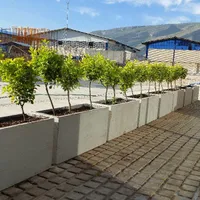 کارگر ساده خانم و آقا