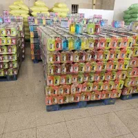 کارگرساده مسلط به رانندگی