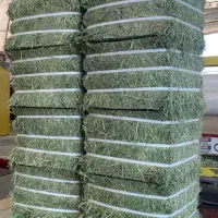 بسته بندی یونجه