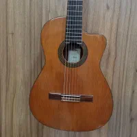 10 نوع گیتار پیکاپدار حرفه ای