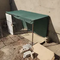 قفس مرغ