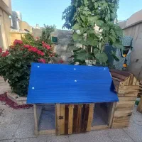 قفس چوبی