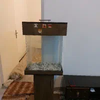 آکواریم